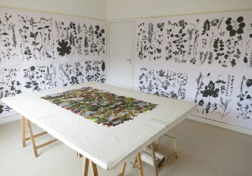 006 IMG_1085 006 IMG_1085