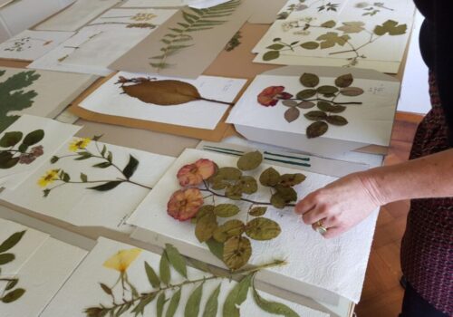 01 343737287_1989188981418235_7179944106426114669_n 01 343737287_1989188981418235_7179944106426114669_n