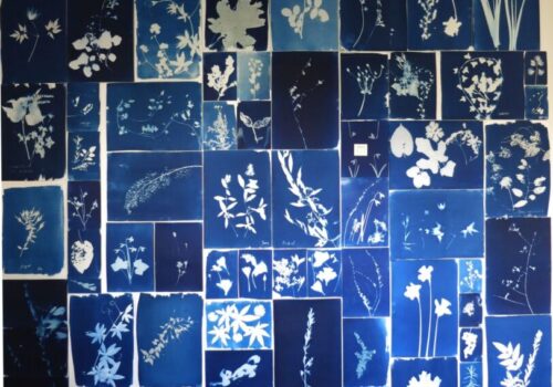 03_IMG_1149 03_IMG_1149