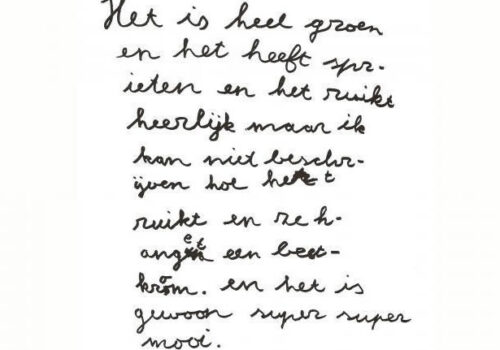 tuin6