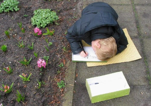 tuin7